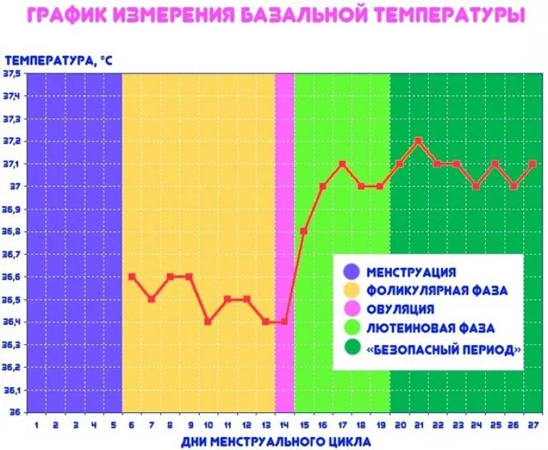 Как измерить базальную