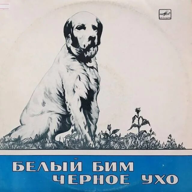 Бим черное ухо слушать. Белый бим черное ухо обложка. белый бим черное ухо автор. белый бим черное ухо иллюстрации. белый бим черное ухо книга.