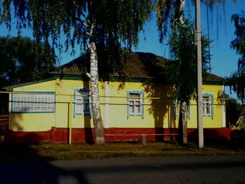 Воронеж данково. Нижнедевицк ул воронежская. данково воронежская область. нижнедевицк воронеж. пруд в нижнедевицке воронежской.
