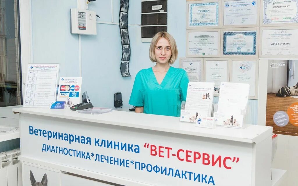 ветеринарная клиника аграрного университета уфа. ветеринарная хасавюрт. ветклиника надежда. ветеринарная клиника аптека. черкесская ветеринарная лечебница.