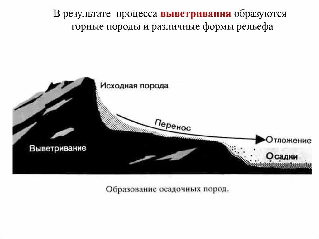 Какие процессы образуют рельеф