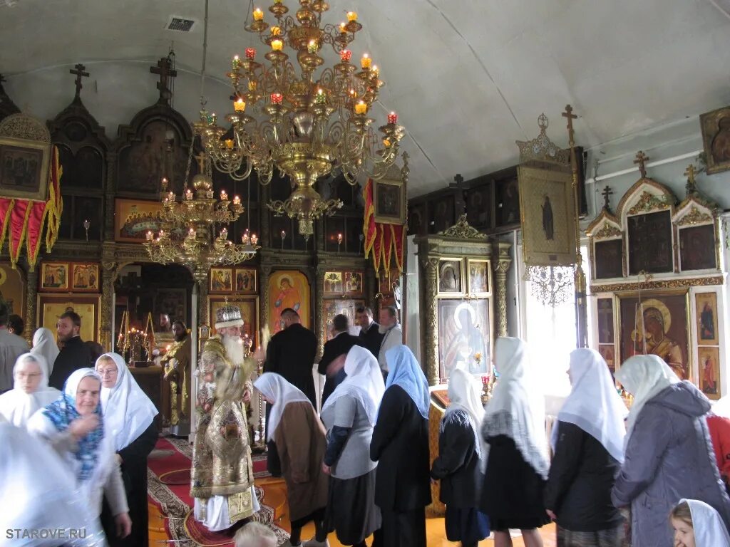 Погода в старове. Деревня старово александровский район. Погода в старове. Погода в старове. Деревня старово.