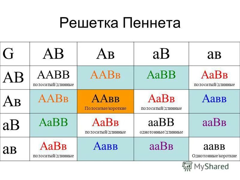 простейшие схемы моногибридного и дигибридного скрещивания. схема моногибридного скрещивани. аа генетика. аа генетика. моногибридное скрещивание схема скрещивания.