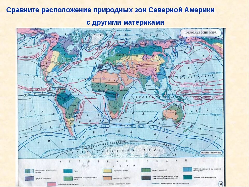 Материки и природные зоны на карте. Расположение природных зон.