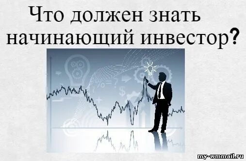 памятка начинающего инвестора. неопытный инвестор. инвестиции с чего начать новичку. памятка начинающего инвестора. памятка по налоговому вычету.