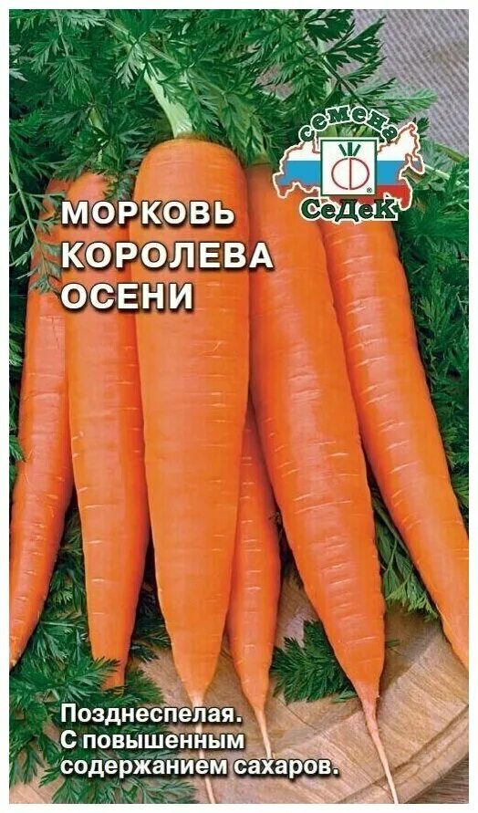 морковь королева осени характеристика
