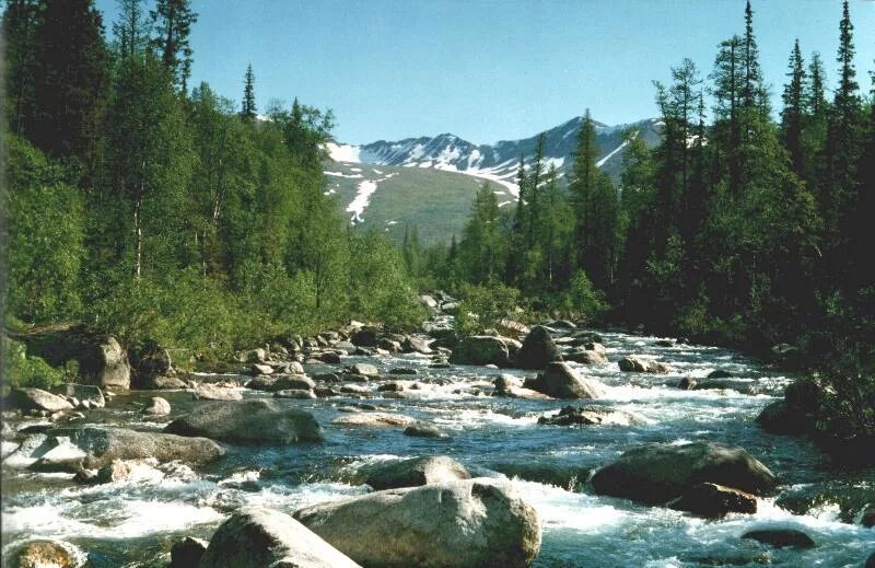 Река великая киров. Река пять букв. Снежная река иркутская. Река большой поток. Омут и бочаг.