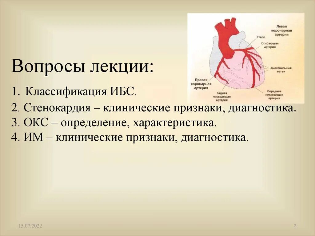 Диагностические критерии ишемической болезни сердца. Клиническая классификация ИБС. Лекция заболевания сердца. Острый коронарный синдром и ишемическая болезнь сердца.