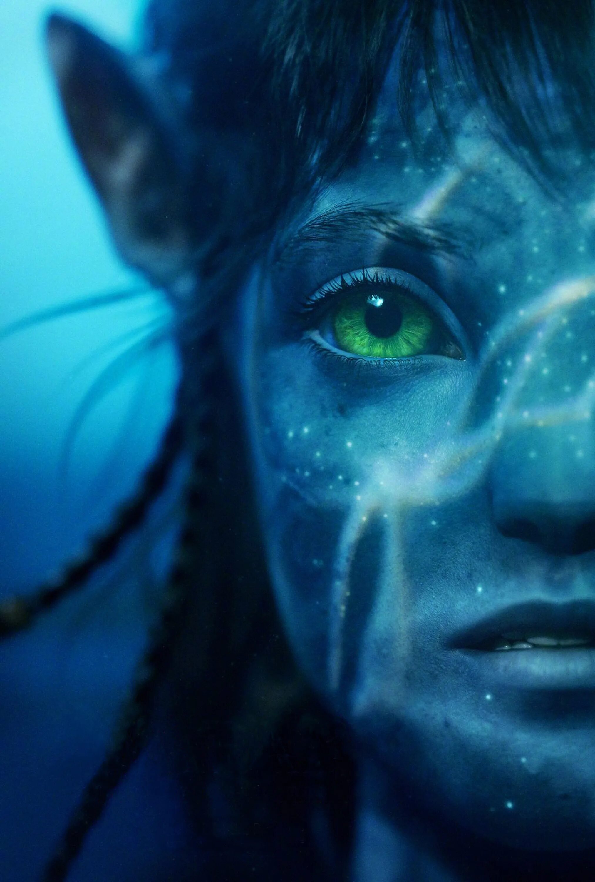 Avatar way