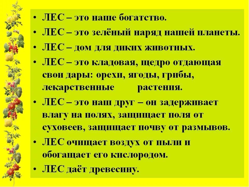 Богатство составить предложение. Лес наше богатство. Лес наше богатство для дошкольников. Беседа лес наше богатство. Тема лес наше богатство.