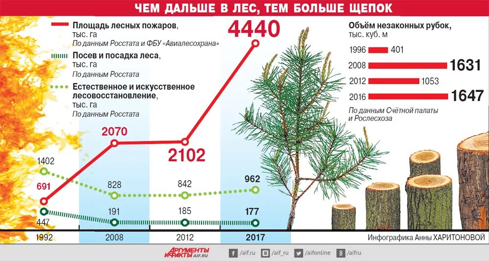 Статистика рубки лесов в России. Вырубка леса в России статистика. Статистика по вырубке лесов в мире. Вырубка лесов по годам.