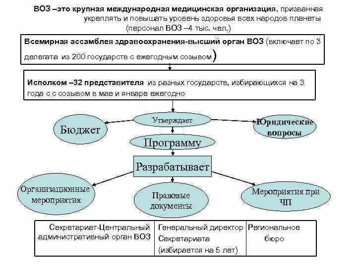 Функции учреждений здравоохранения. Всемирная организация здравоохранения (воз), структура.. Структура воз схема. Воз структура организации. Структура воз таблица.