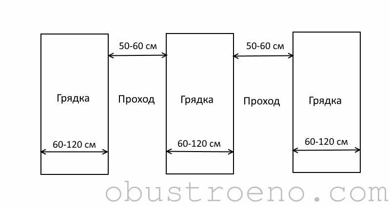 Какое расстояние должно быть между грядками