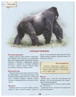 Обезьяны литература