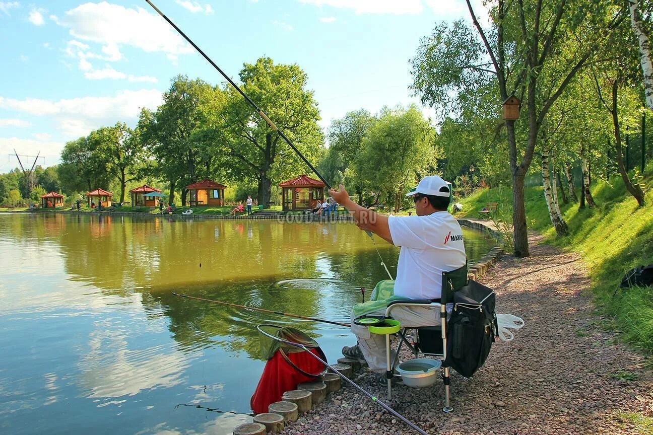 Организованная рыбалка. Ропшинские пруды платная рыбалка. Рыбные пруды Ропша. Рыбалка на пруду. Платный водоем для рыбалки.