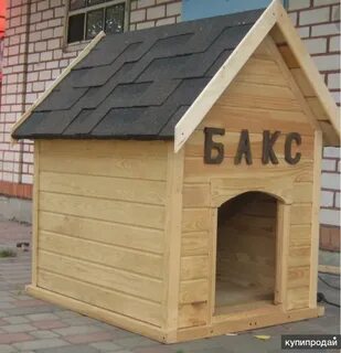 Покажи будку
