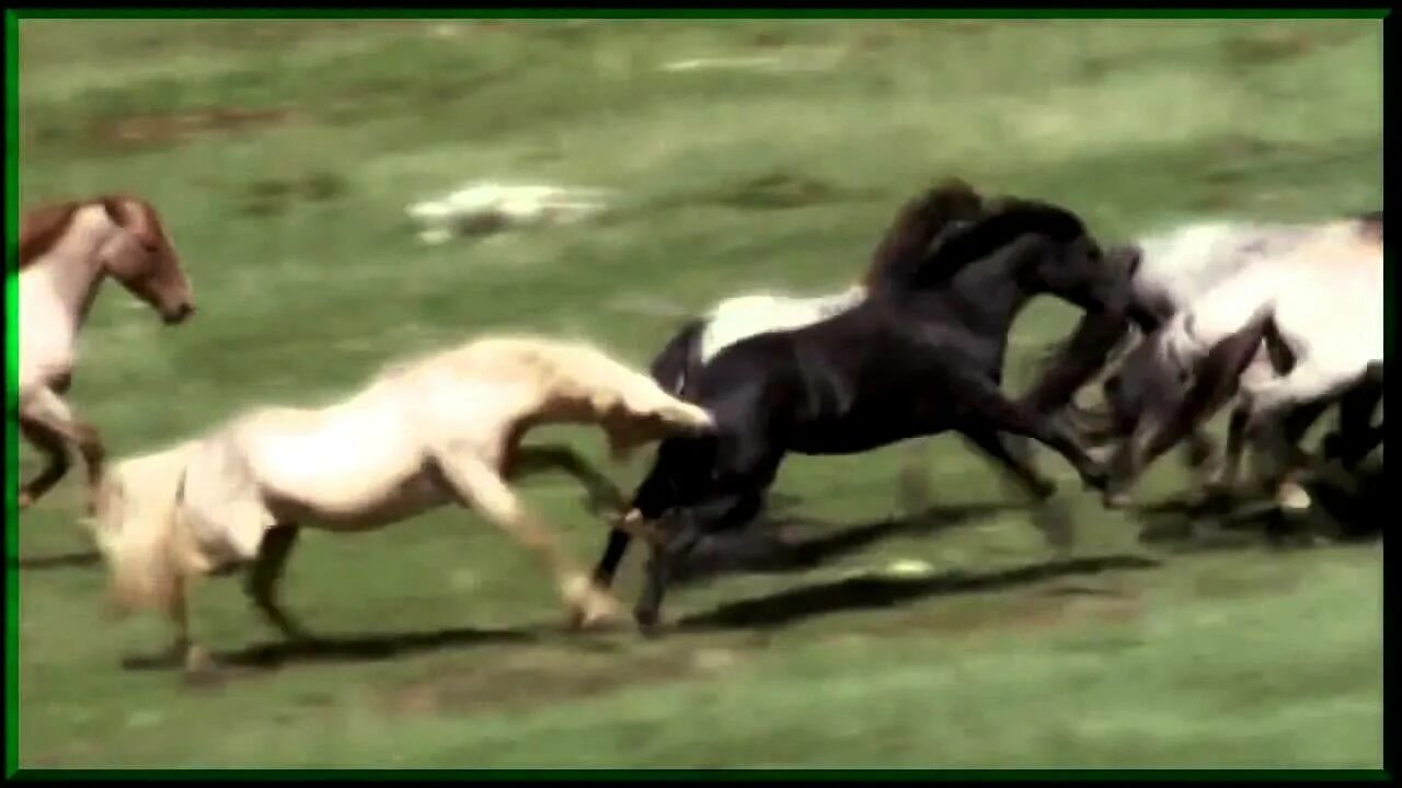 Лошадки минусовка. Далеко далеко ускакала молодая лошадь. Лошадь далеко. Ускакала в поле молодая лошадь. Убежала в поле молодая лошадь.
