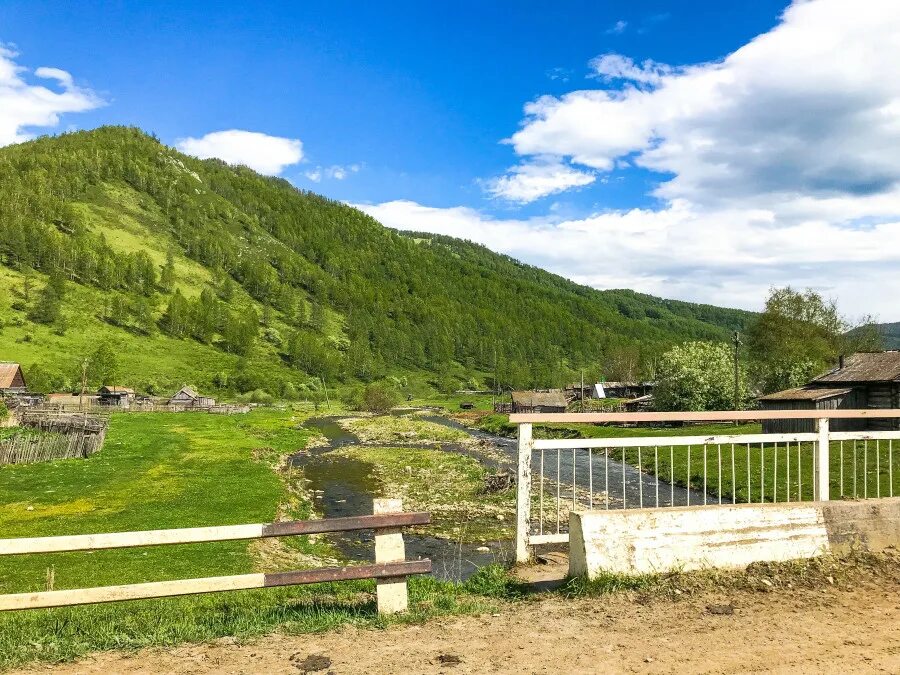 Погода в аи алтайского края. Черга горный Алтай. Село черга Алтайский край. Верх черга Шебалинский район. Черга Шебалинский район Республика Алтай.