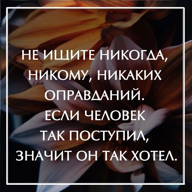 Никогда не ищите человеку. Уроки жизни цитаты. Не ищите никогда никому никаких оправданий. Статусы про уроки жизни. Статусы про оправдания.