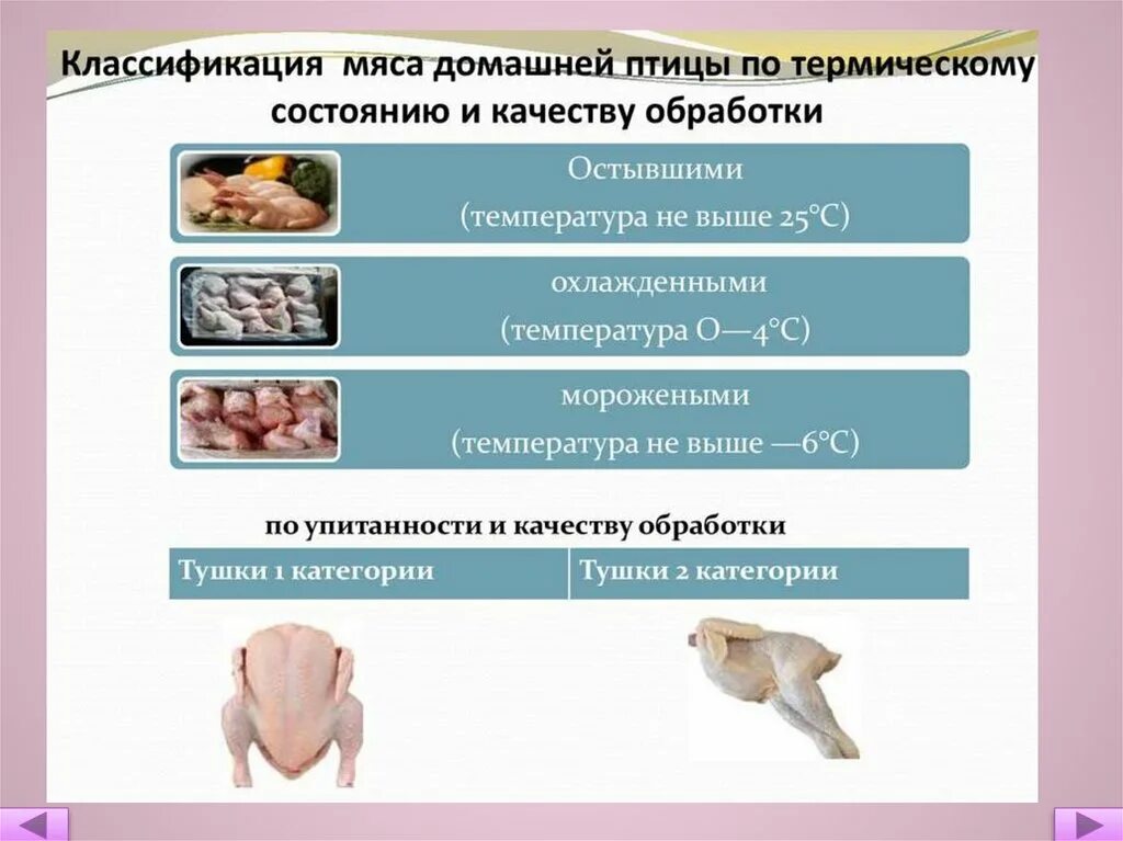 Механическая кулинарная обработка птицы. Этапы обработки птицы. Механическая обработка сельскохозяйственной птицы. Механическая кулинарная обработка сельскохозяйственной птицы. Этапы механической обработки замороженной птицы