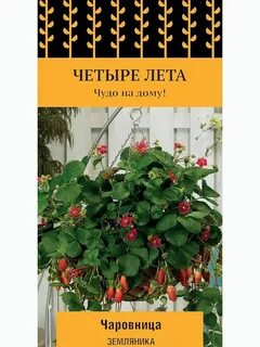 Четыре лета
