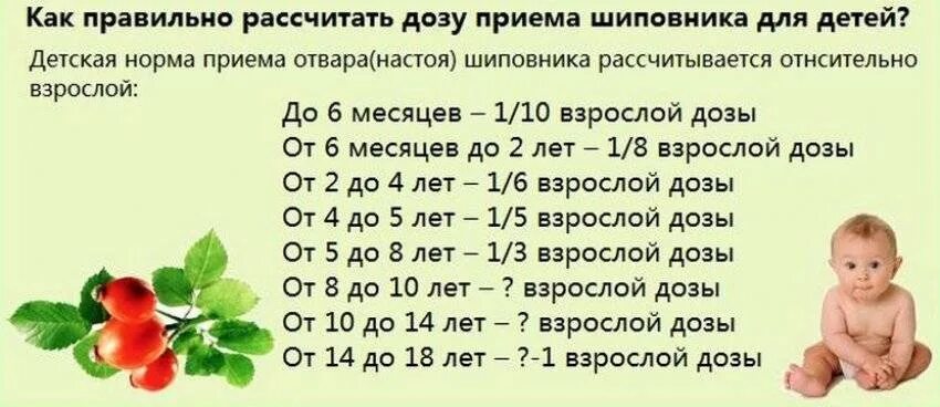 1 раз в 6 месяцев. Отвар шиповника для грудничка. шиповник можно давать малышу шиповник можно давать малышу. шиповник в 6 месяцев грудничку. отвар шиповника при желтухе у новорожденного.