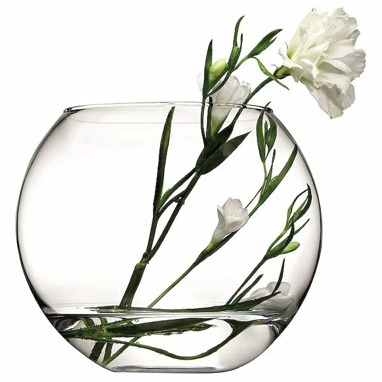 Ваза bouquet (philippi). Прозрачная ваза с цветами. Ваза прозрачная. Прозрачная ваза с цветами. Aurum crystal bohemia ваза.