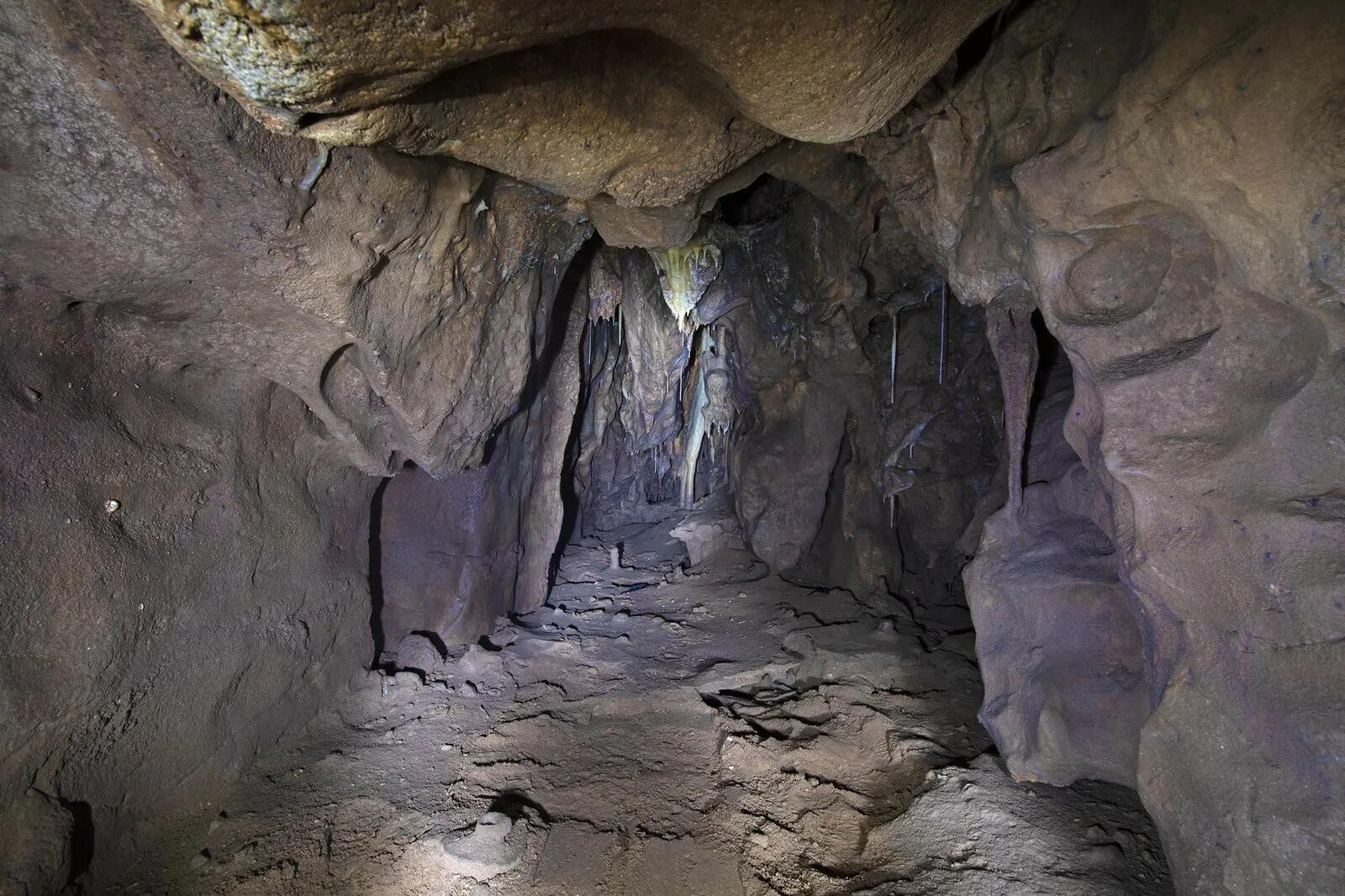 Пещера горама Гибралтар. Пещера Неандерталь. Пещерный комплекс Лас гил. Пещера Горхэма.