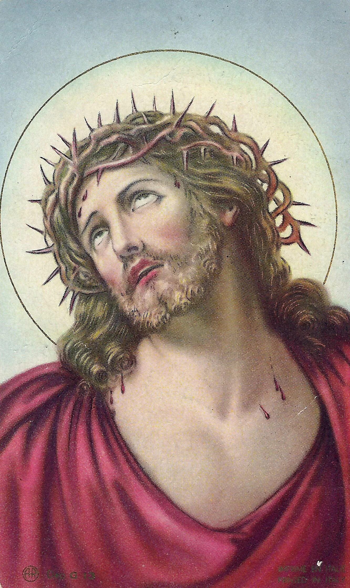 Иисус мученик. Иисус мученик. Терновый венец христа картины. Икона иисус христос в терновом венце. Иисус христос в терновом венце.