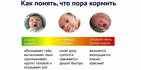 Как понять что новорожденный не наедается