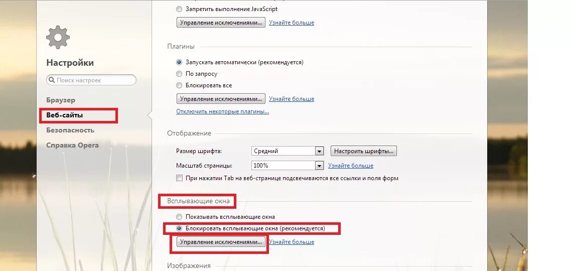 Как убрать всплывающие окна справа внизу в опере. Рекламные окна в браузере. Всплывающие окна в опере как включить. Всплывающие окна с рекламой.