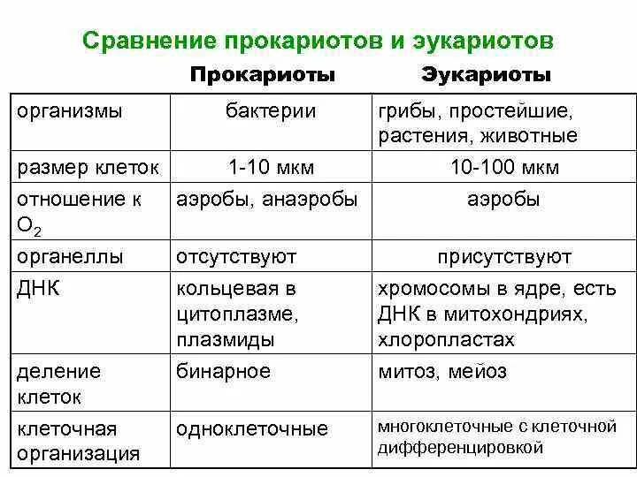 Сравнение бактерий и растений. Сравните клетки эукариот и прокариот. Тип питания у прокариот и эукариот таблица. 3. Основные отличия эукариотической клетки от прокариотической. Сравнить прокариоты и эукариоты.