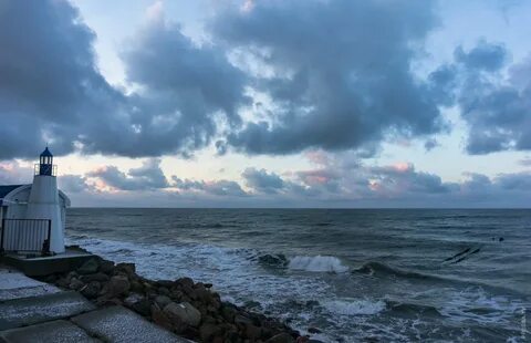 Светлогорск море