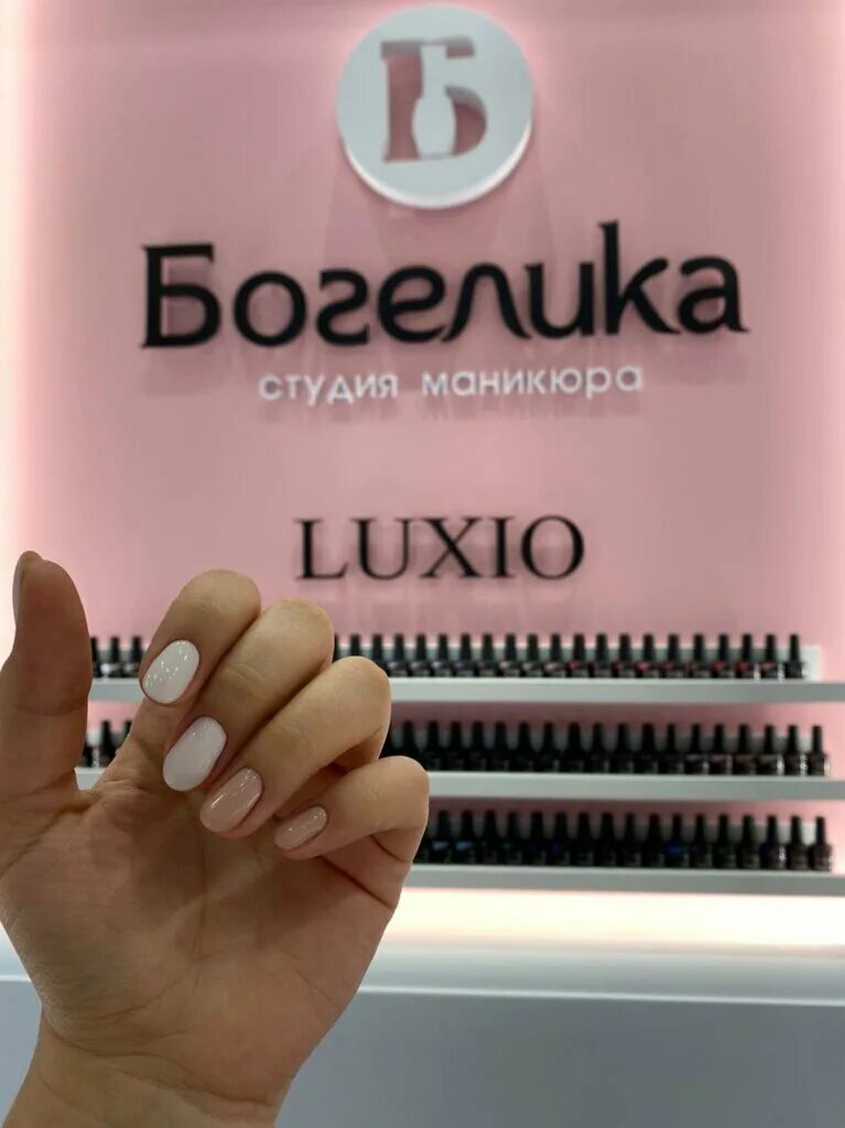 богелика нижний новгород жар птица