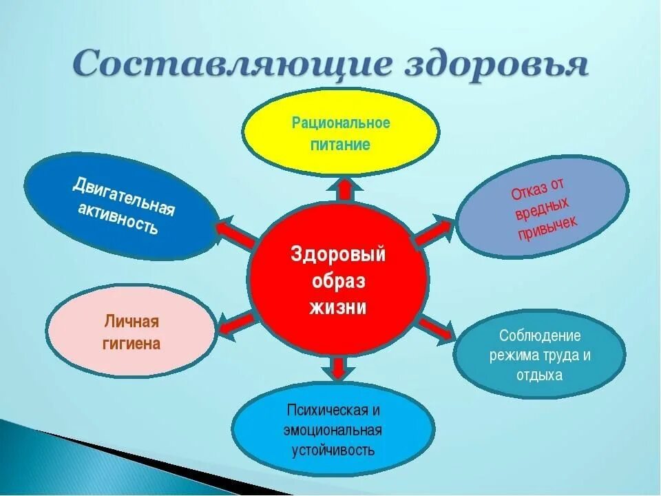 Сообщение на тему общие представления о здоровье