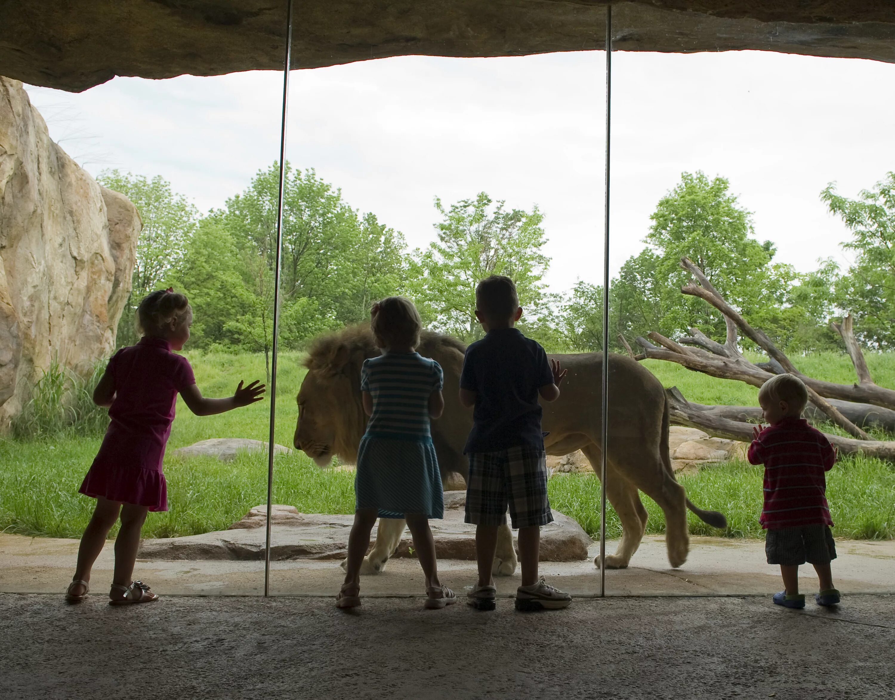 Zoo child. Дети в зоопарке. Посетители зоопарка. Экскурсия в зоопарк. Фотосессия в зоопарке.