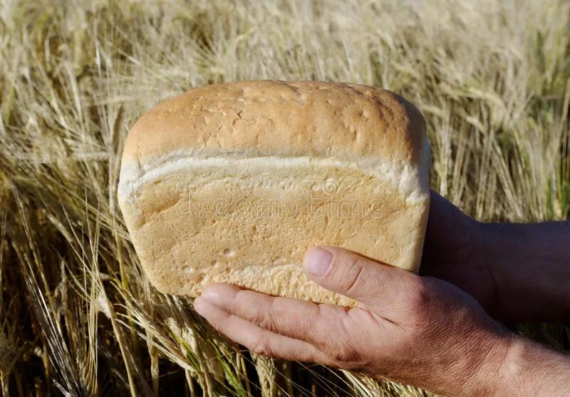 Круглый хлеб в руках. Хлеб в руках. Сон хлеб в руках. Хлеб в руках. Женственный хлеб.