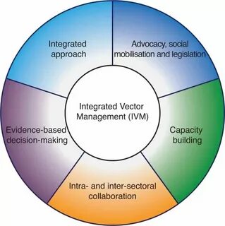 Integrative approach