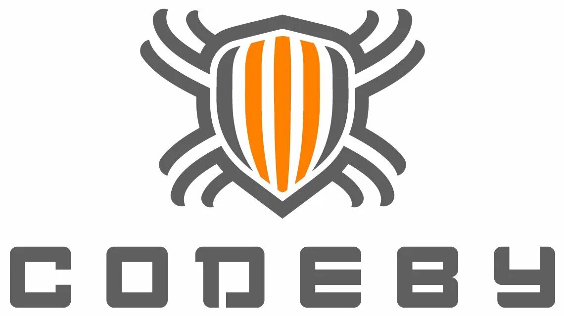 Codeby academy. Codeby. codeby логотип. codeby курсы.