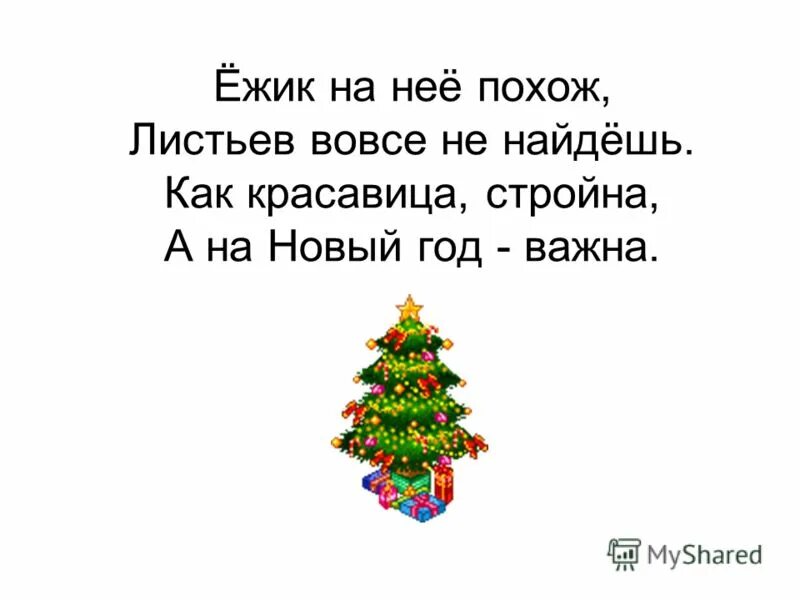 Ответ был елка. Загадка про елочку. Загадка про елку. Загадка про елку для детей. Загадка про новогоднюю елку.