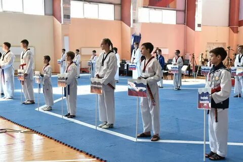 Кубок рязанского кремля тхэквондо