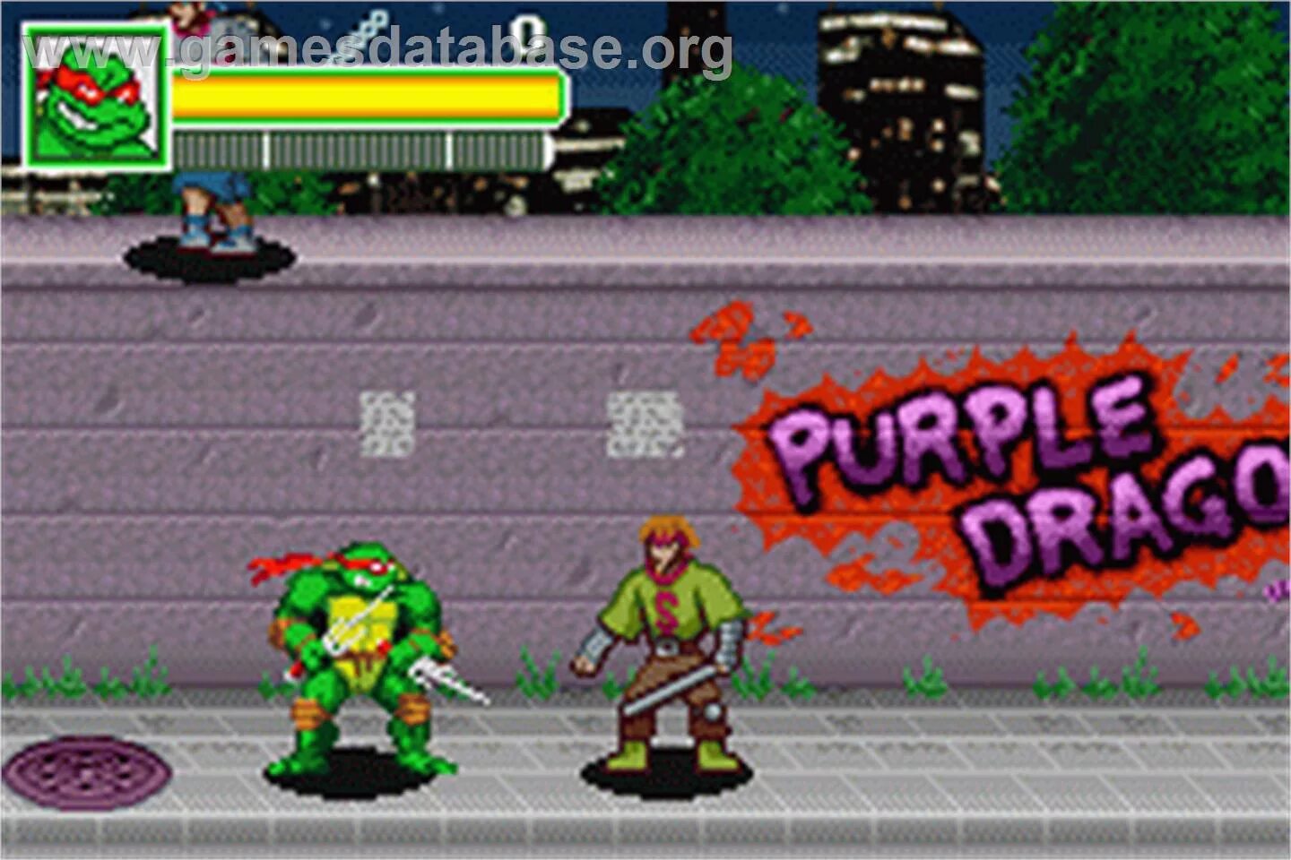 Teenage mutant ninja turtles gba