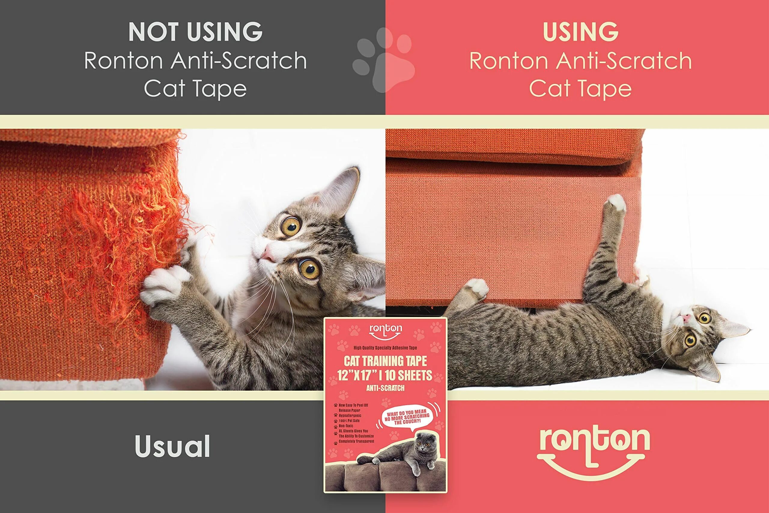 The cat not scratch harry. Scratch cat.