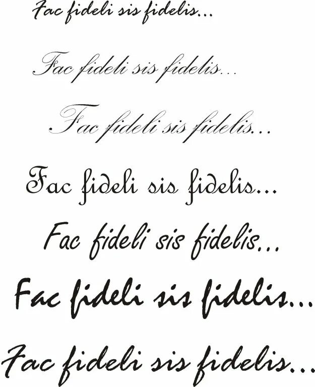 тату надпись на руке. тату надписи на латыни. тату на латыни. тату надписи для девушек. надписи на руке для девушек.