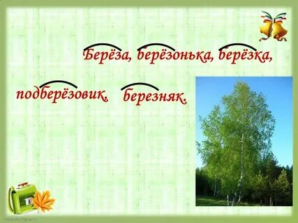 Синонимы к слову береза