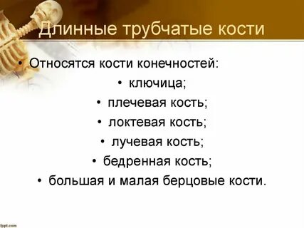 Трубчатая кость тест аккредитация