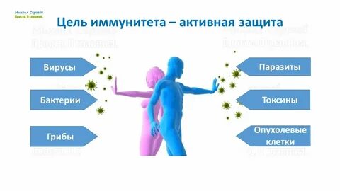 Защита здоровья человека