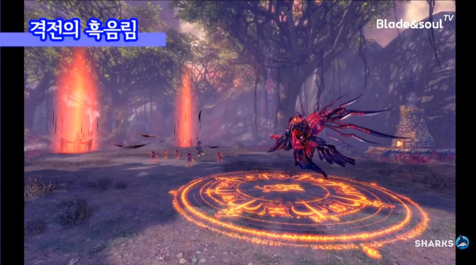 Blade and Soul данж. Бнс лес проклятых. BNS подземелье.