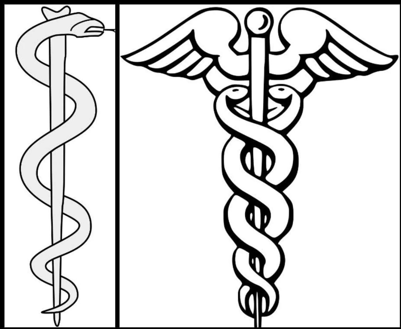 Кадуцей значение. Посох Асклепия древняя Греция. Посох Гермеса Кадуцей. Посох Гермеса и Асклепия. Посох Асклепия символ медицины.