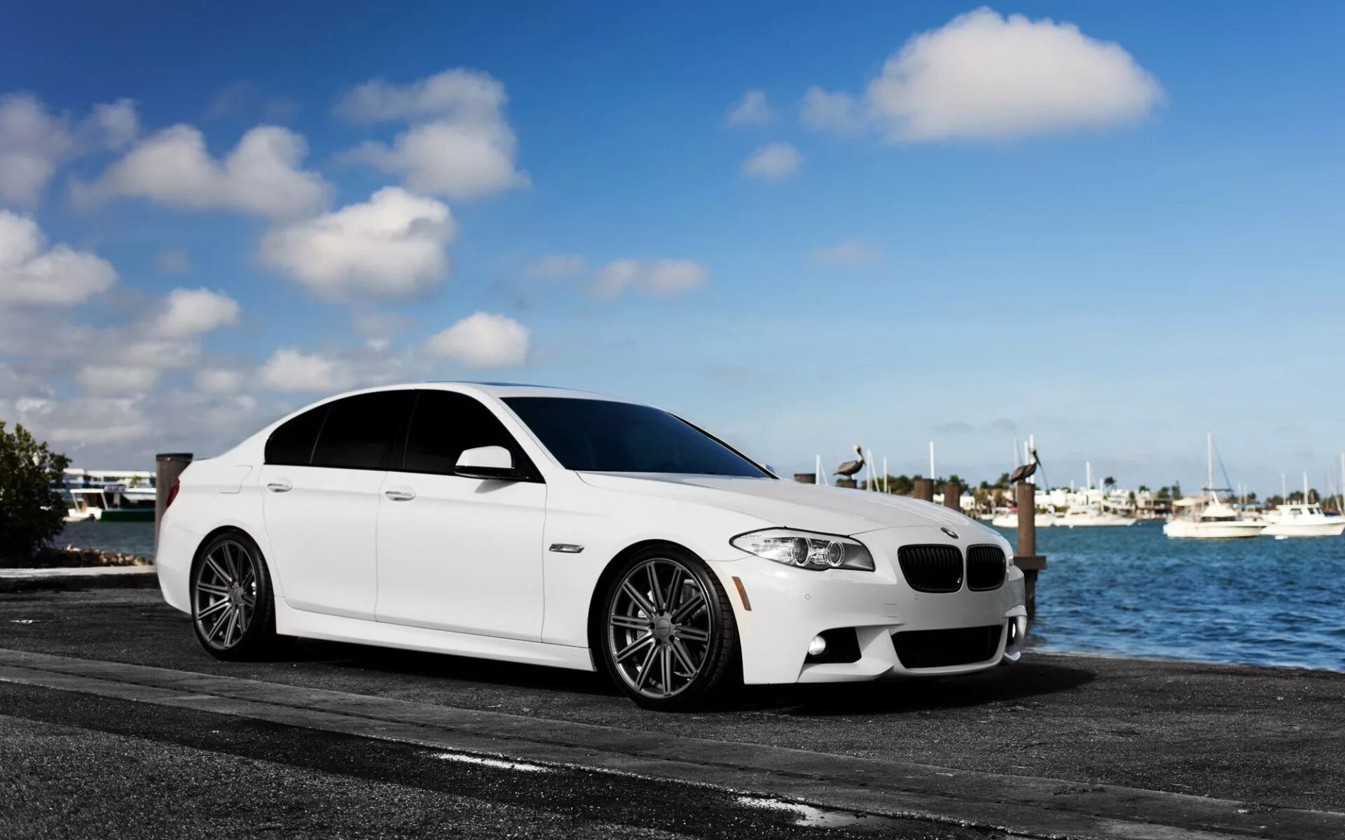 Белая 05. BMW m5 White. BMW m5 f10. BMW f10 белая. BMW m5 белая.